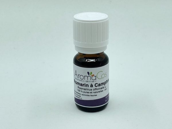 Romarin à camphre Bio