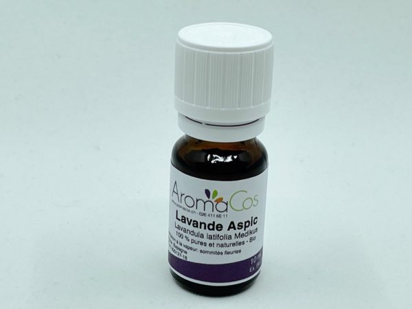 Lavande aspic Bio
