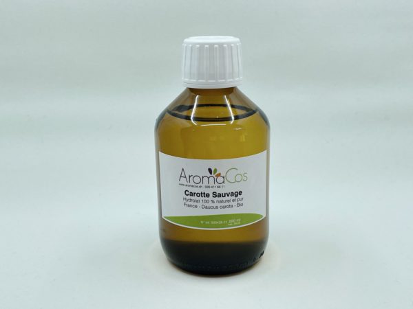 Hydrolat de Carotte Sauvage Bio