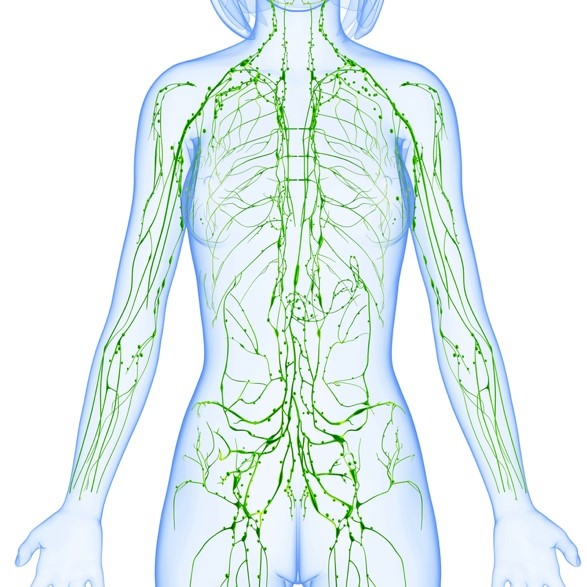 Drainage lymphatique manuel