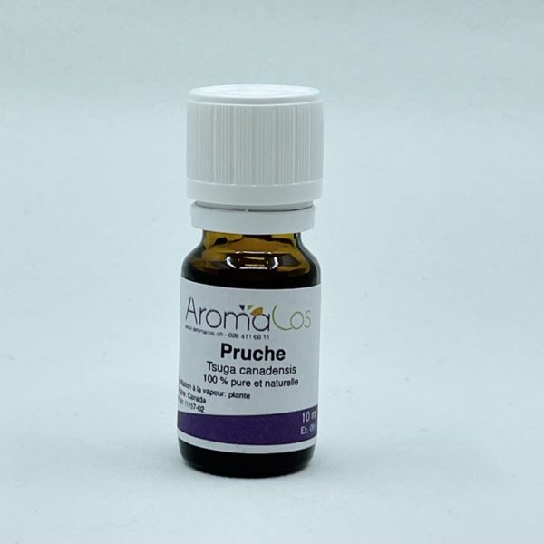 Pruche