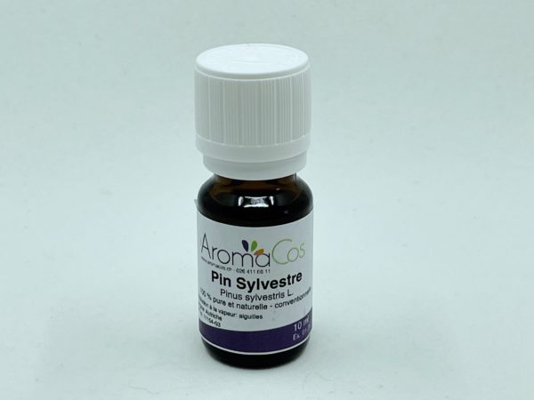 Pin Sylvestre